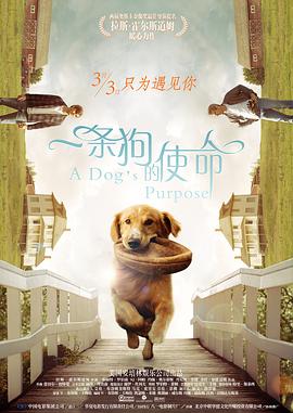 女导演们又成了近期中国影市里一道亮丽的风景线。