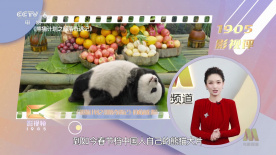 《镖人》带着破局决心的坚守与革新，要为这片沉寂的江湖，重燃滚烫的烟火。
